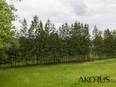 Verta Žinoti - nuotraukos Nr. 6