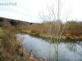 Parduodami Du 31,7 Ha. Bendro Ploto Sklypai, - nuotraukos Nr. 5