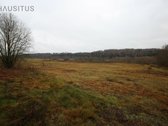 Parduodami Du 31,7 Ha. Bendro Ploto Sklypai, - nuotraukos Nr. 10