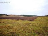 Parduodami Du 31,7 Ha. Bendro Ploto Sklypai, - nuotraukos Nr. 16