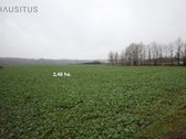 Parduodami Du 31,7 Ha. Bendro Ploto Sklypai, - nuotraukos Nr. 17