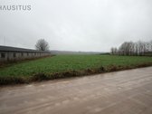 Parduodami Du 31,7 Ha. Bendro Ploto Sklypai, - nuotraukos Nr. 18