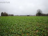 Parduodami Du 31,7 Ha. Bendro Ploto Sklypai, - nuotraukos Nr. 19