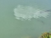 Parduodama erdvi ir išskirtinė sodyba - nuotraukos Nr. 19