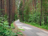 Aukštagirio miško apsuptyje, Antakalnyje, vos - nuotraukos Nr. 23