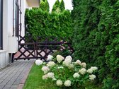 # Parduodamas 3 kambarių butas su privačiu - nuotraukos Nr. 22