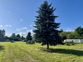 Parduodama Jauki Ir Privati 2,9 Ha Sodyba - nuotraukos Nr. 23