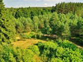 Zarasų rajone, Gailiutiškės vienkiemyje, - nuotraukos Nr. 7