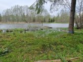 Rietavo savivaldybės Panavadžio kaime - nuotraukos Nr. 33