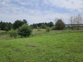Vilniaus rajone Pabražuolės kaime parduodamas - nuotraukos Nr. 10