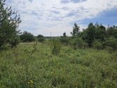 Vilniaus rajone Pabražuolės kaime parduodamas - nuotraukos Nr. 12