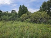 Vilniaus rajone Pabražuolės kaime parduodamas - nuotraukos Nr. 13
