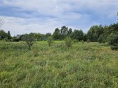 Vilniaus rajone Pabražuolės kaime parduodamas - nuotraukos Nr. 15