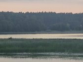Sala Veisiejo ežere, aplink supa vanduo. Į ją - nuotraukos Nr. 4