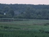 Sala Veisiejo ežere, aplink supa vanduo. Į ją - nuotraukos Nr. 5