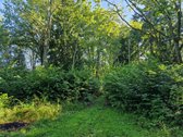 Telšių rajone 13,5 Ha sklypas ant Baltežerio - nuotraukos Nr. 6