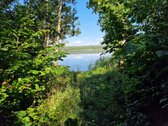 Telšių rajone 13,5 Ha sklypas ant Baltežerio - nuotraukos Nr. 7