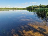 Telšių rajone 13,5 Ha sklypas ant Baltežerio - nuotraukos Nr. 3