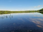 Telšių rajone 13,5 Ha sklypas ant Baltežerio - nuotraukos Nr. 8
