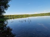 Telšių rajone 13,5 Ha sklypas ant Baltežerio - nuotraukos Nr. 9