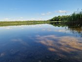 Telšių rajone 13,5 Ha sklypas ant Baltežerio - nuotraukos Nr. 10