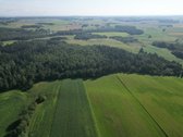 Telšių rajone 13,5 Ha sklypas ant Baltežerio - nuotraukos Nr. 26