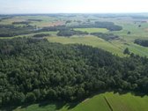 Telšių rajone 13,5 Ha sklypas ant Baltežerio - nuotraukos Nr. 27