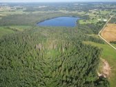 Telšių rajone 13,5 Ha sklypas ant Baltežerio - nuotraukos Nr. 32