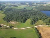 Telšių rajone 13,5 Ha sklypas ant Baltežerio - nuotraukos Nr. 36