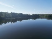 Telšių rajone 13,5 Ha sklypas ant Baltežerio - nuotraukos Nr. 41