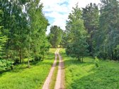 Sodybviete 1,60 ha su 200m smeletos ežero - nuotraukos Nr. 2