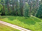 Sodybviete 1,60 ha su 200m smeletos ežero - nuotraukos Nr. 4