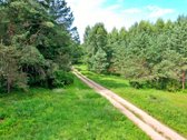 Sodybviete 1,60 ha su 200m smeletos ežero - nuotraukos Nr. 5