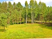 Sodybviete 1,60 ha su 200m smeletos ežero - nuotraukos Nr. 6