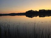 Sodybviete 1,60 ha su 200m smeletos ežero - nuotraukos Nr. 37