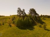 Skubiai. Pigiai. Sodyba su registruotais - nuotraukos Nr. 3