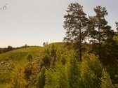 Skubiai. Pigiai. Sodyba su registruotais - nuotraukos Nr. 4