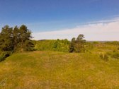Skubiai. Pigiai. Sodyba su registruotais - nuotraukos Nr. 5