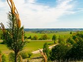 Skubiai. Pigiai. Sodyba su registruotais - nuotraukos Nr. 21