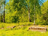 Skubiai. Pigiai. Sodyba su registruotais - nuotraukos Nr. 23