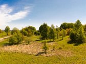 Skubiai. Pigiai. Sodyba su registruotais - nuotraukos Nr. 31