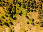 Skubiai. Pigiai. Sodyba su registruotais - nuotraukos Nr. 32