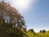 Skubiai. Pigiai. Sodyba su registruotais - nuotraukos Nr. 35