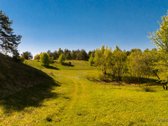 Skubiai. Pigiai. Sodyba su registruotais - nuotraukos Nr. 36