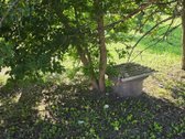 *Parduodamas namas miesto centre – puiki - nuotraukos Nr. 28