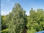 Naujai įrengtas 3 kambarių butas Beržų g. - nuotraukos Nr. 40