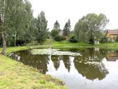 Kompaktiškas Namas Gyvenimui Ir Poilsiui! - nuotraukos Nr. 22
