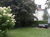 Istoriniame Žaliakalnio vilų kvartale mūsų - nuotraukos Nr. 4