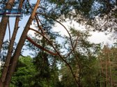 Naujos Statybos 4 Kambarių Namas Su 7,96 A - nuotraukos Nr. 35
