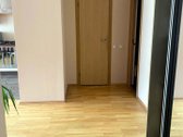 Išnuomojamas 2 kambarių butas ilgalaikei - nuotraukos Nr. 3
